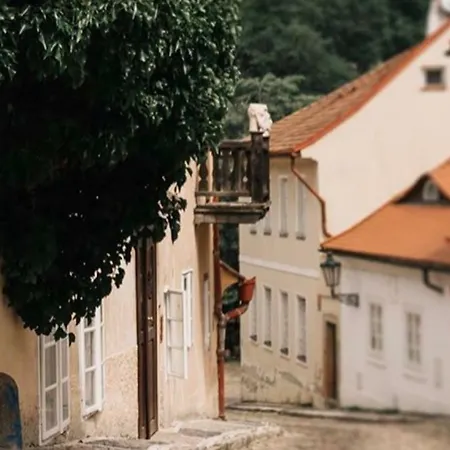 Timmy 5* Prague